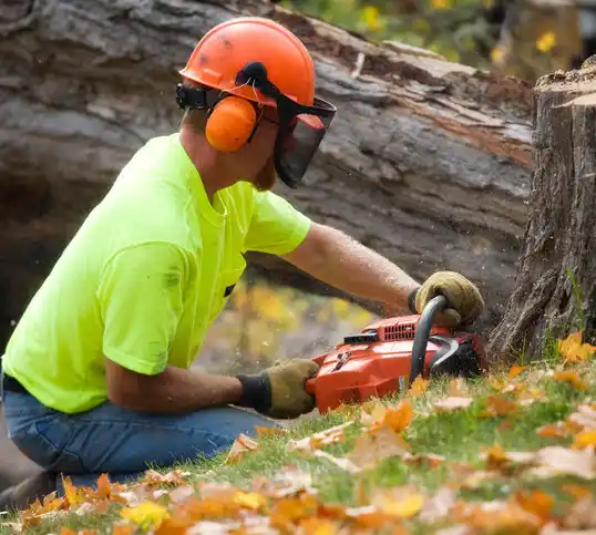 tree services Ralston